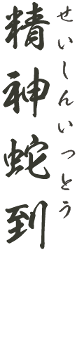 せいしんいっとう